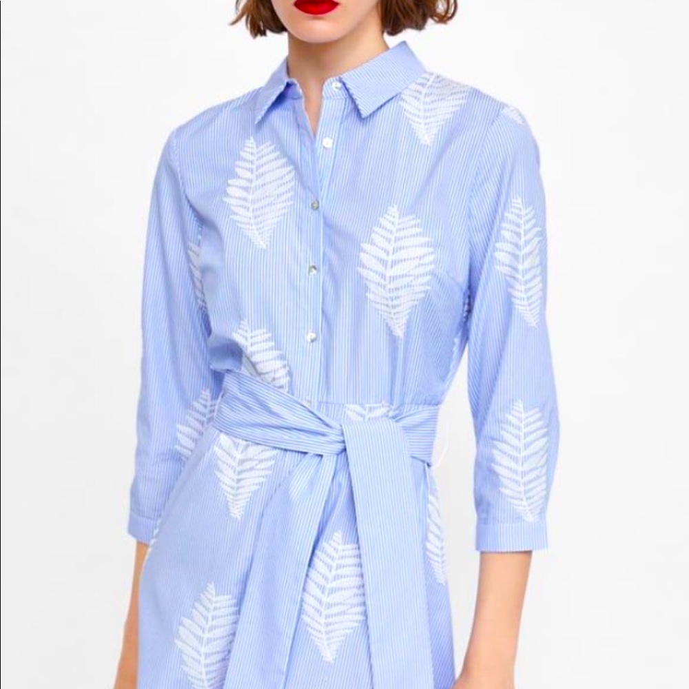 Zara blue striped embroidered shirt dress M
